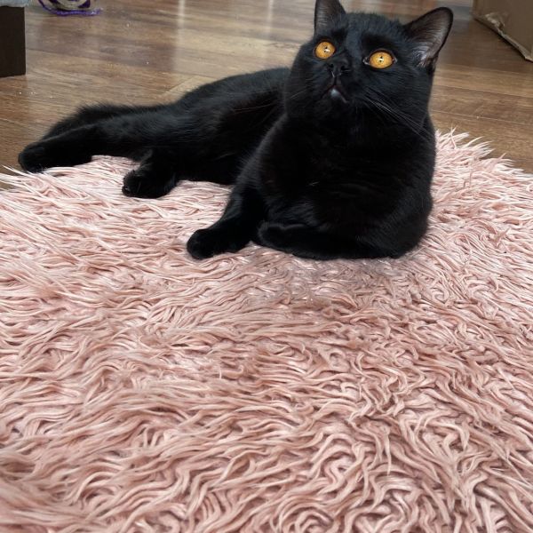 Lucifer