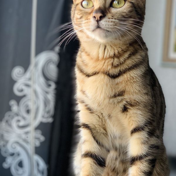 Mama