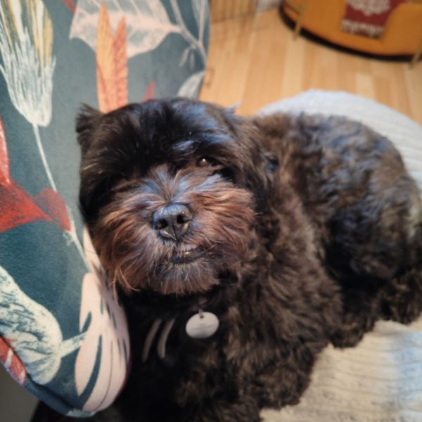Ted