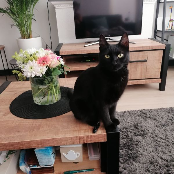 Nina