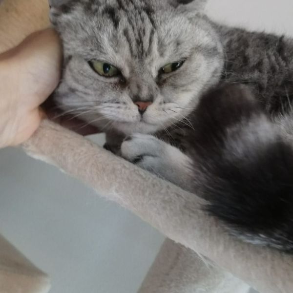 Chloé