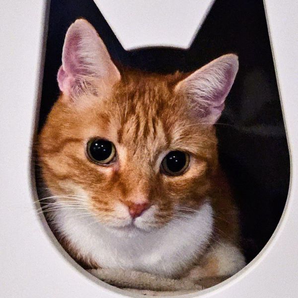 Monty