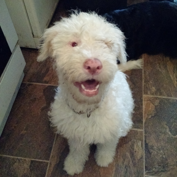 Sam