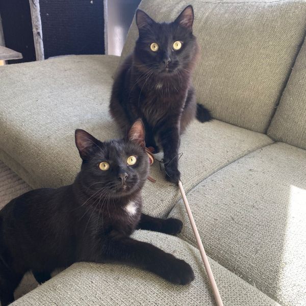 Otis en loki
