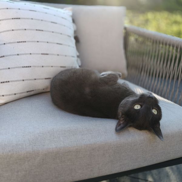 Bella