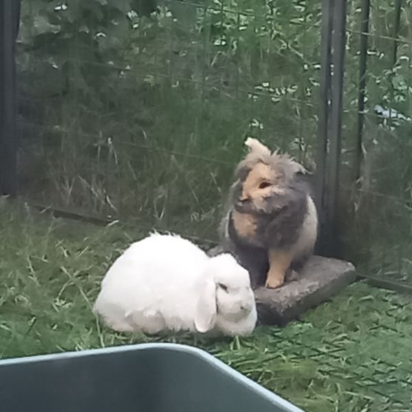 Jurgen en Athena