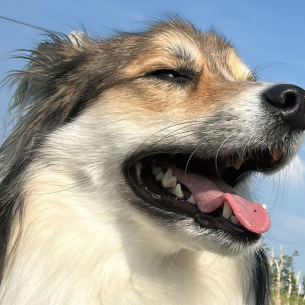 Murphy