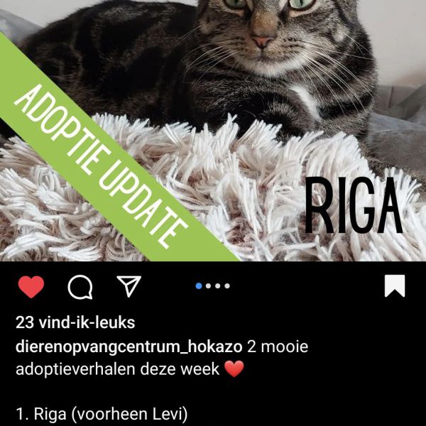 Riga