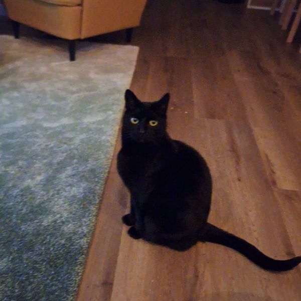 Max