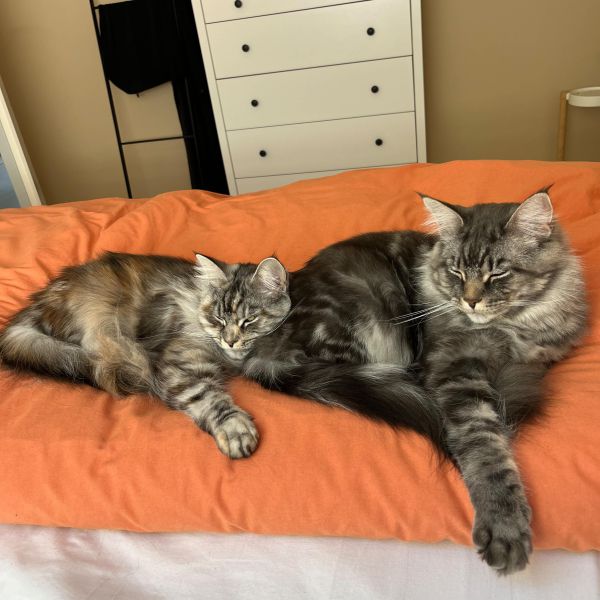 Puck en Guusje