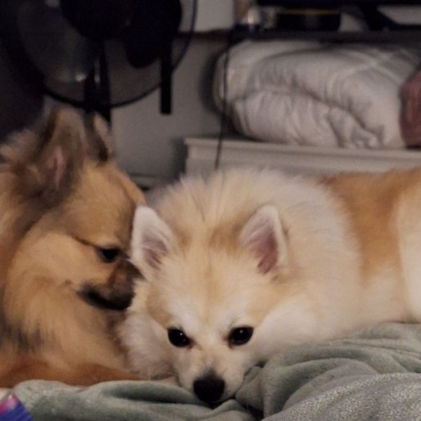 Nina