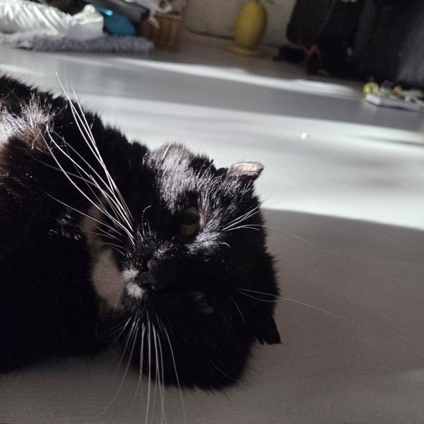 Kit