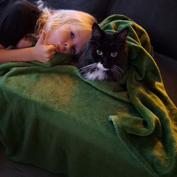 Teun
