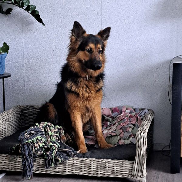 lola