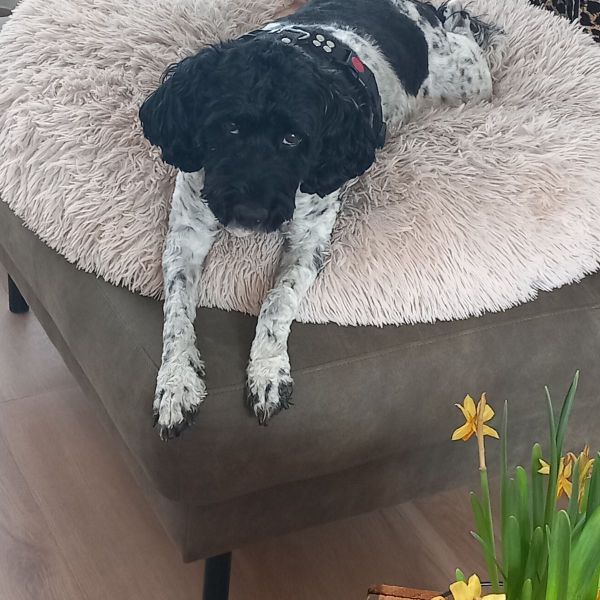Lena