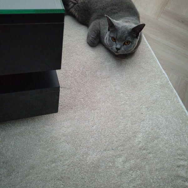 Pixie