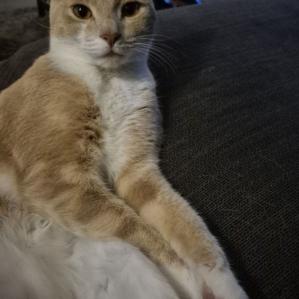 Winky