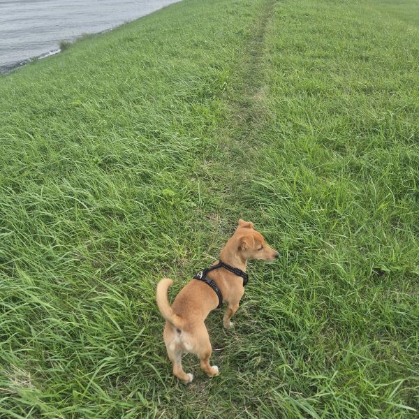 Sam