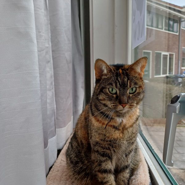 Milly