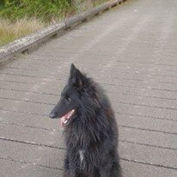 Joep