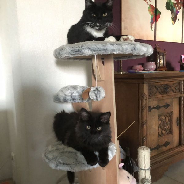 Bandi &amp; Spekkerd