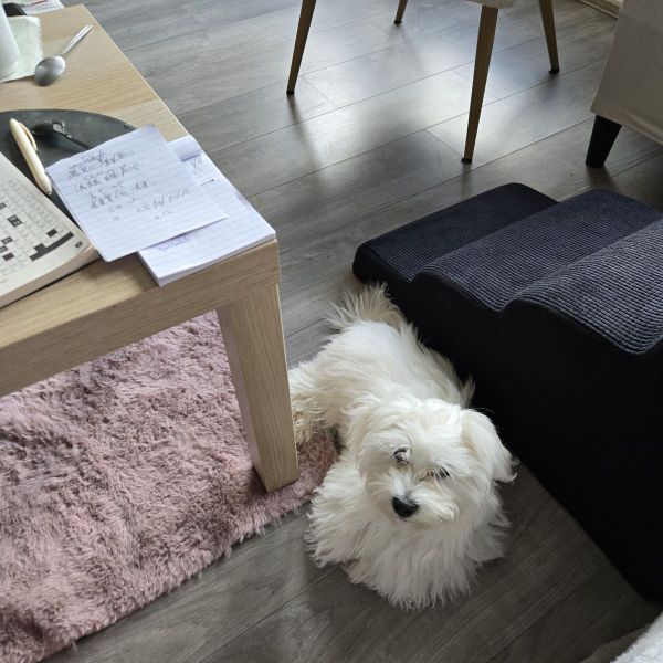 Mylo