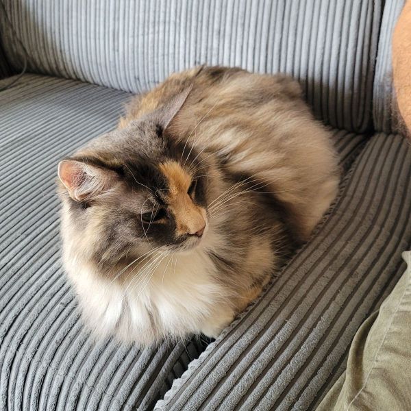 Lena