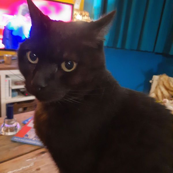 William