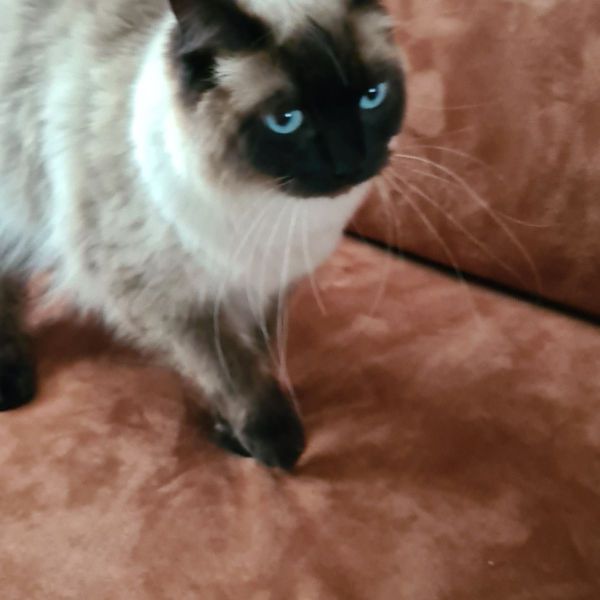 Max