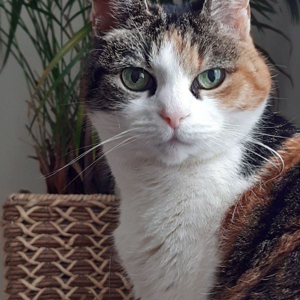 Luna