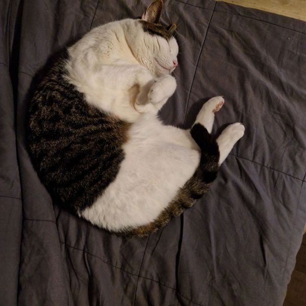 Balthazar