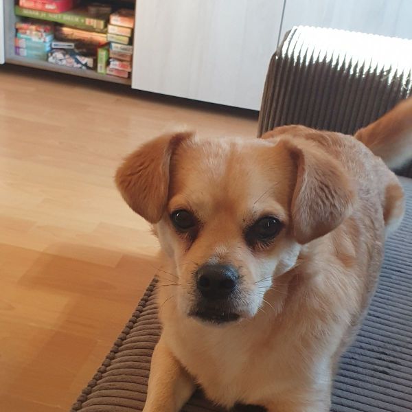 Chester