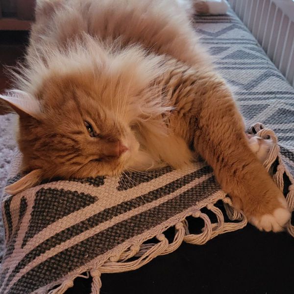 Charly