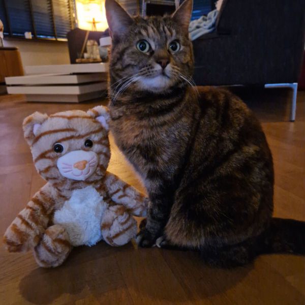 Pepper