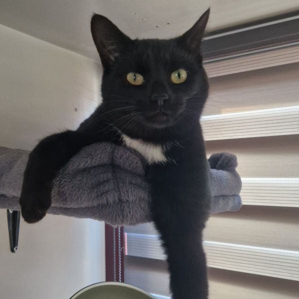 Luna
