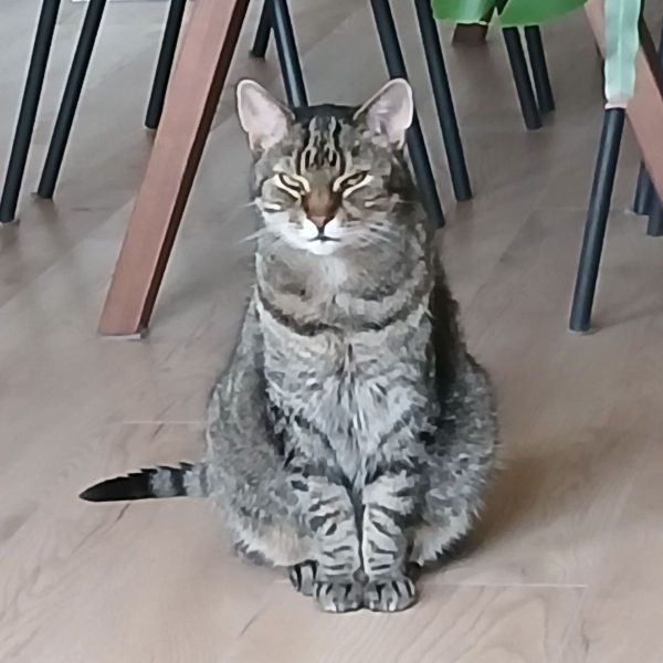 Kat Floo