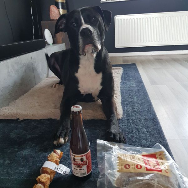 Ralph Van Wijngaarden