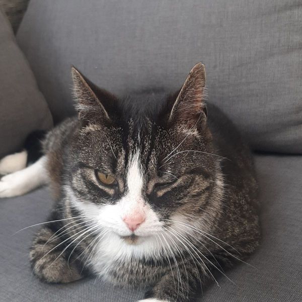 Titus