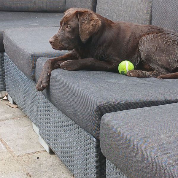 Marley