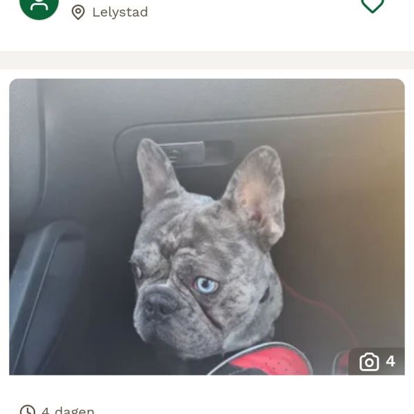 Rex