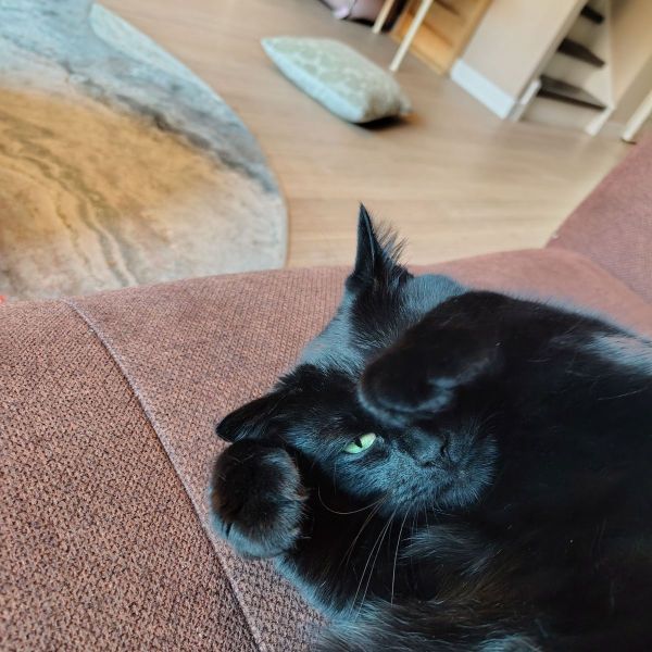 Doppie
