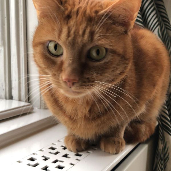 Rémy