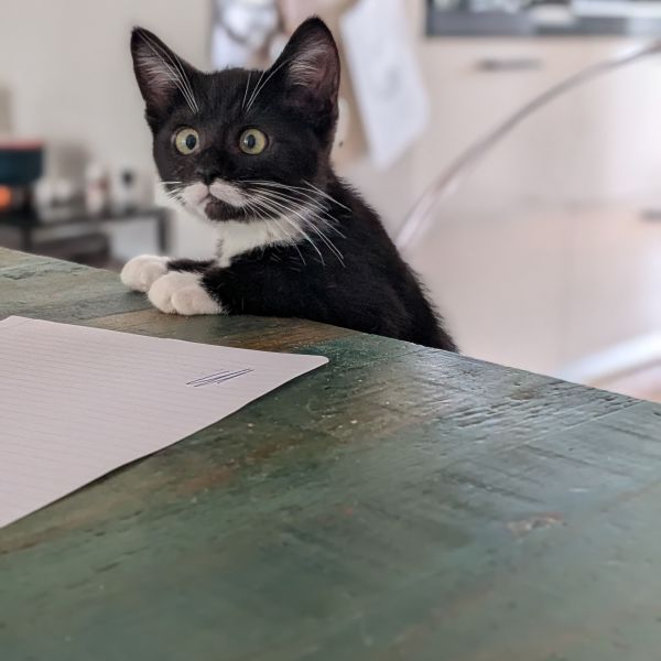 Karel