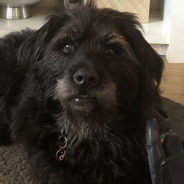 Charlie