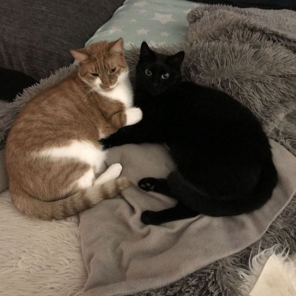 Joep &amp; Gijs