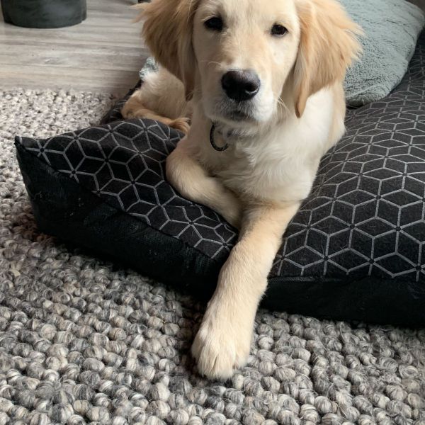 Milo