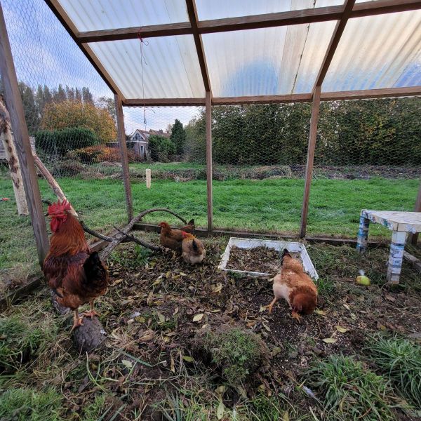 Jos, Max, Donna en Milly