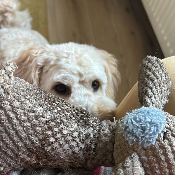 Charlie