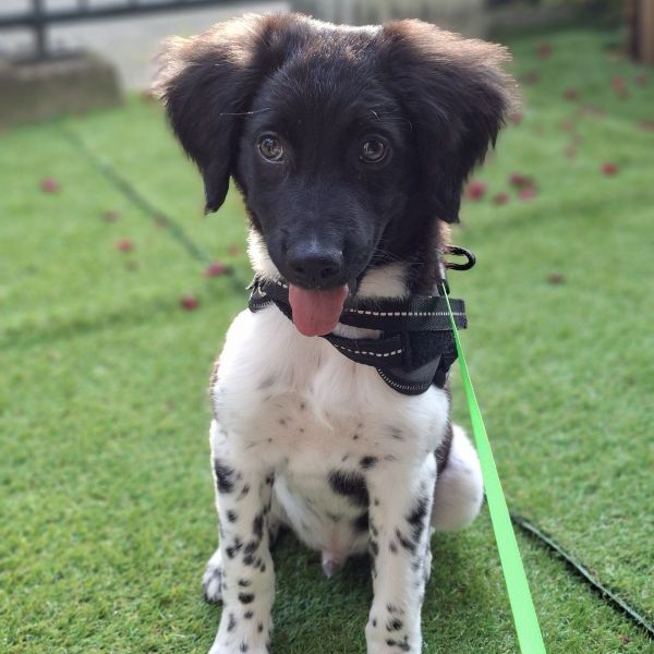 max