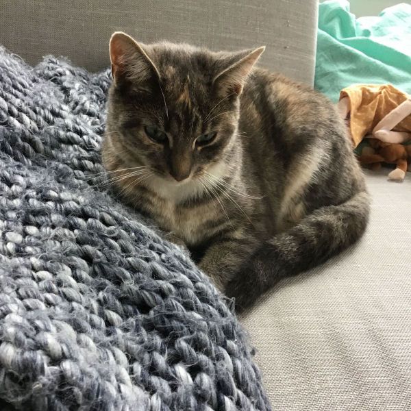 Loetje